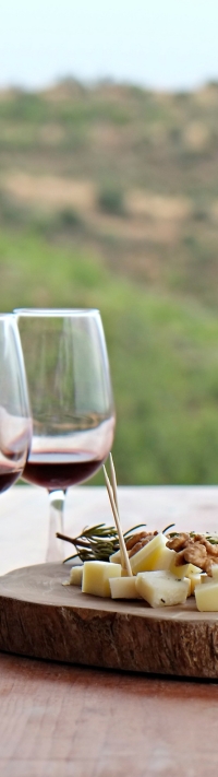 wine garda (2)