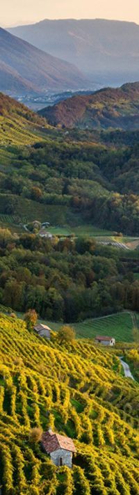 prosecco region (3)